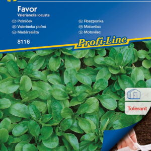 Roszponka 'Favor' (nasiona na tamie)