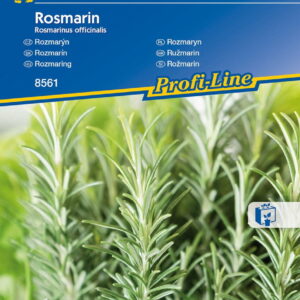 Rozmaryn Lekarski Intensywny Kiepenkerl