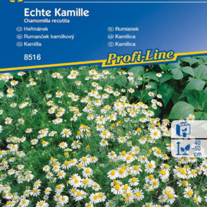 Rumianek Leczniczy Kiepenkerl