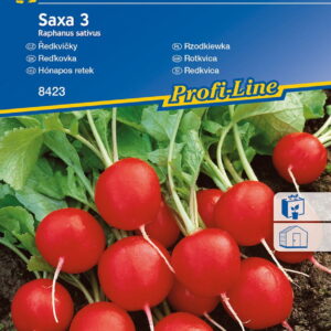 Rzodkiewka 'Saxa 3' | Kiepenkerl