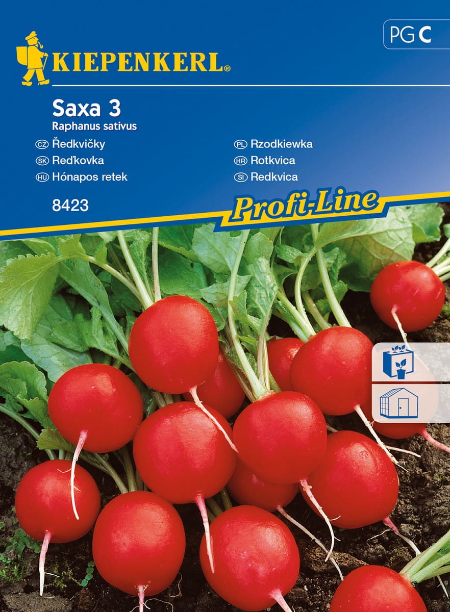Rzodkiewka 'Saxa 3' | Kiepenkerl