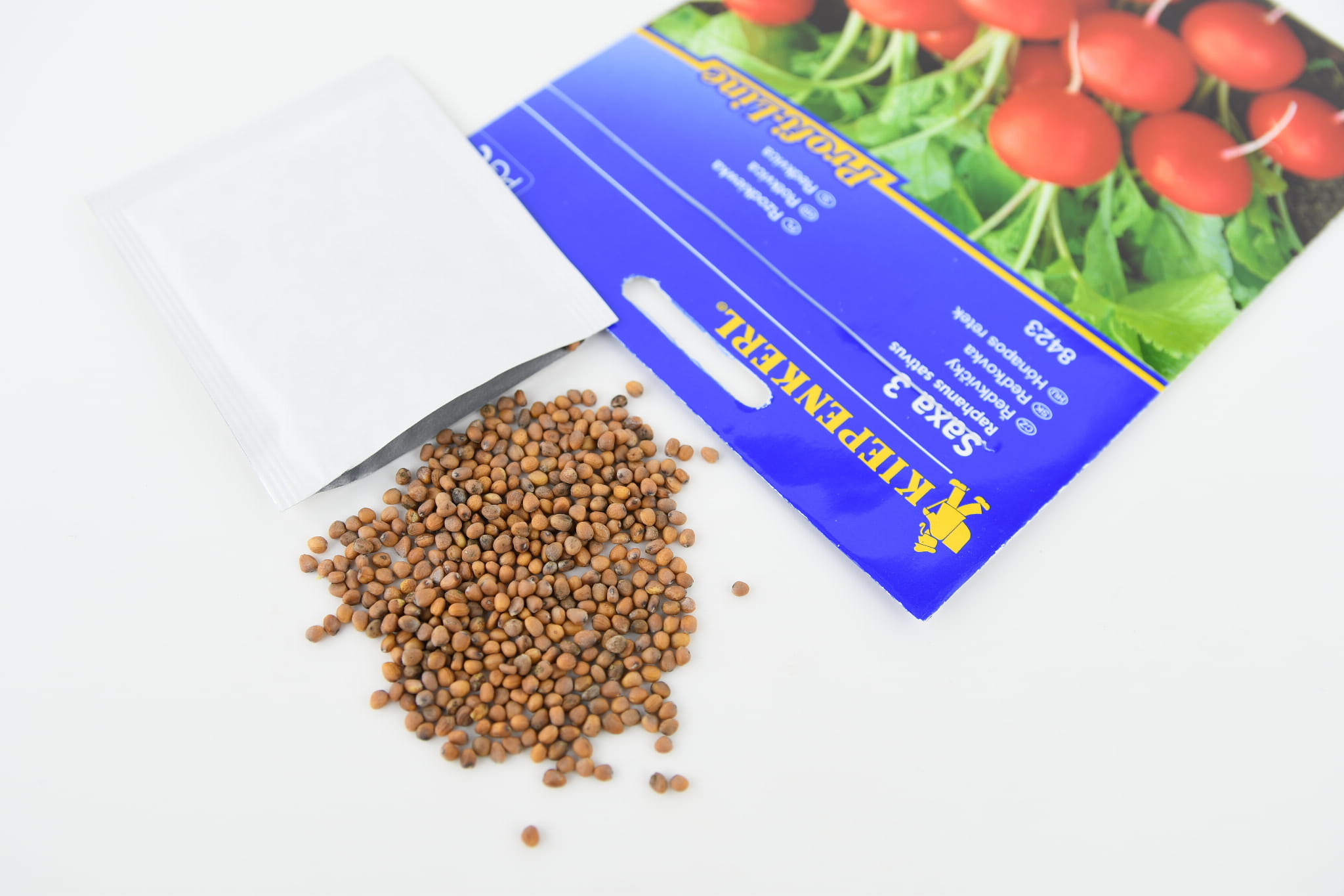 Rzodkiewka 'Saxa 3' | Kiepenkerl - obrazek 2