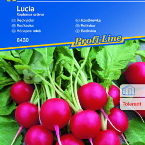 Rzodkiewka 'Lucia' F1 Wczesna Kiepenkerl