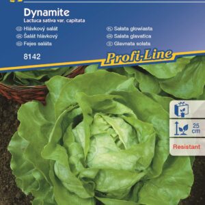 Sa³ata Mas³owa 'Dynamite'  Odporna  Kiepenkerl