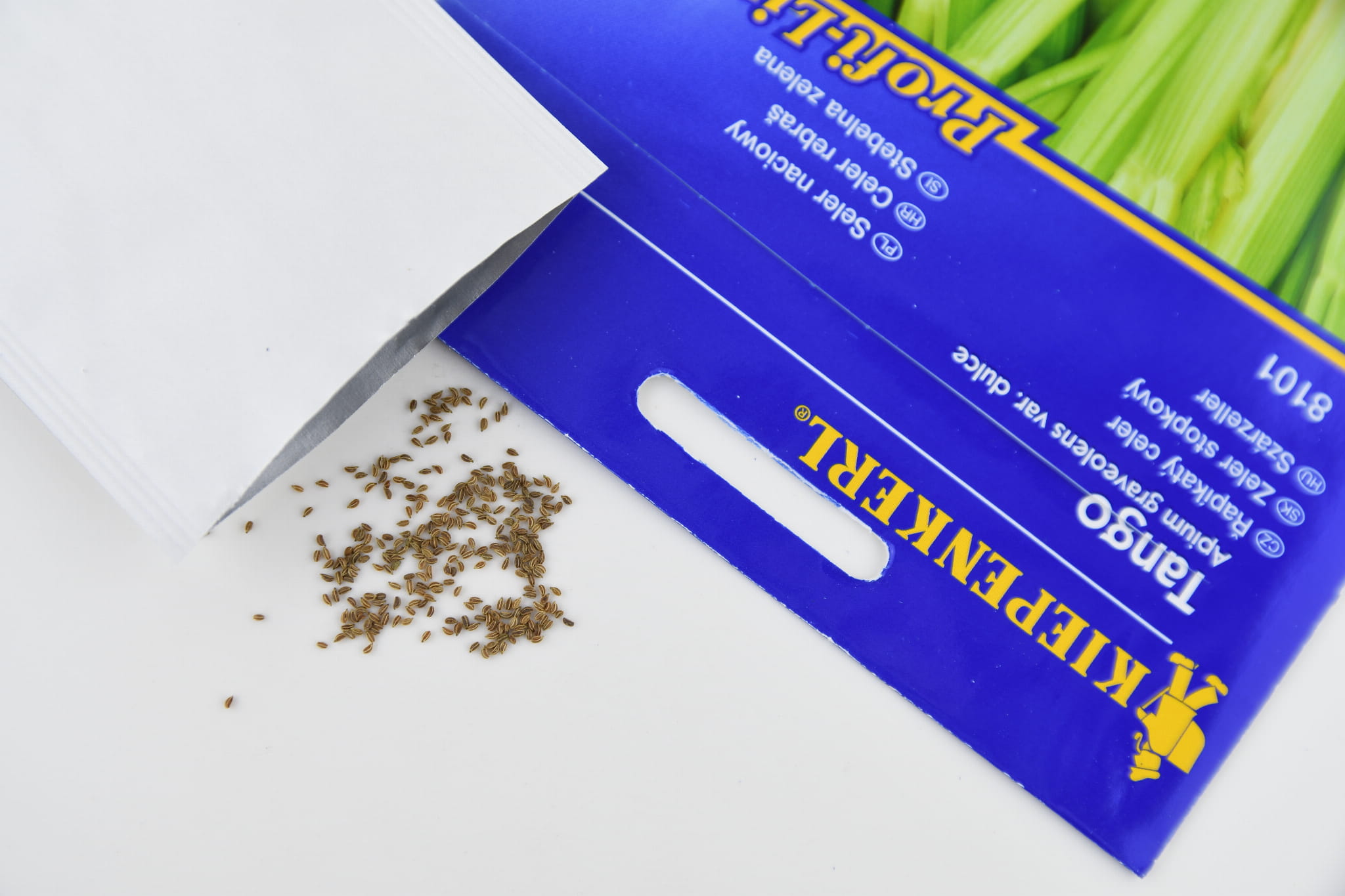 Seler Naciowy 'Tango' Nasiona Kiepenkerl - obrazek 2