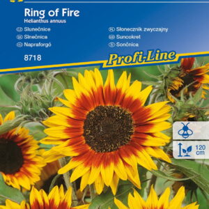 S³onecznik 'Ring of Fire' Kiepenkerl