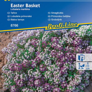 Smagliczka 'Easter Basket'  Nasiona  Kiepenkerl