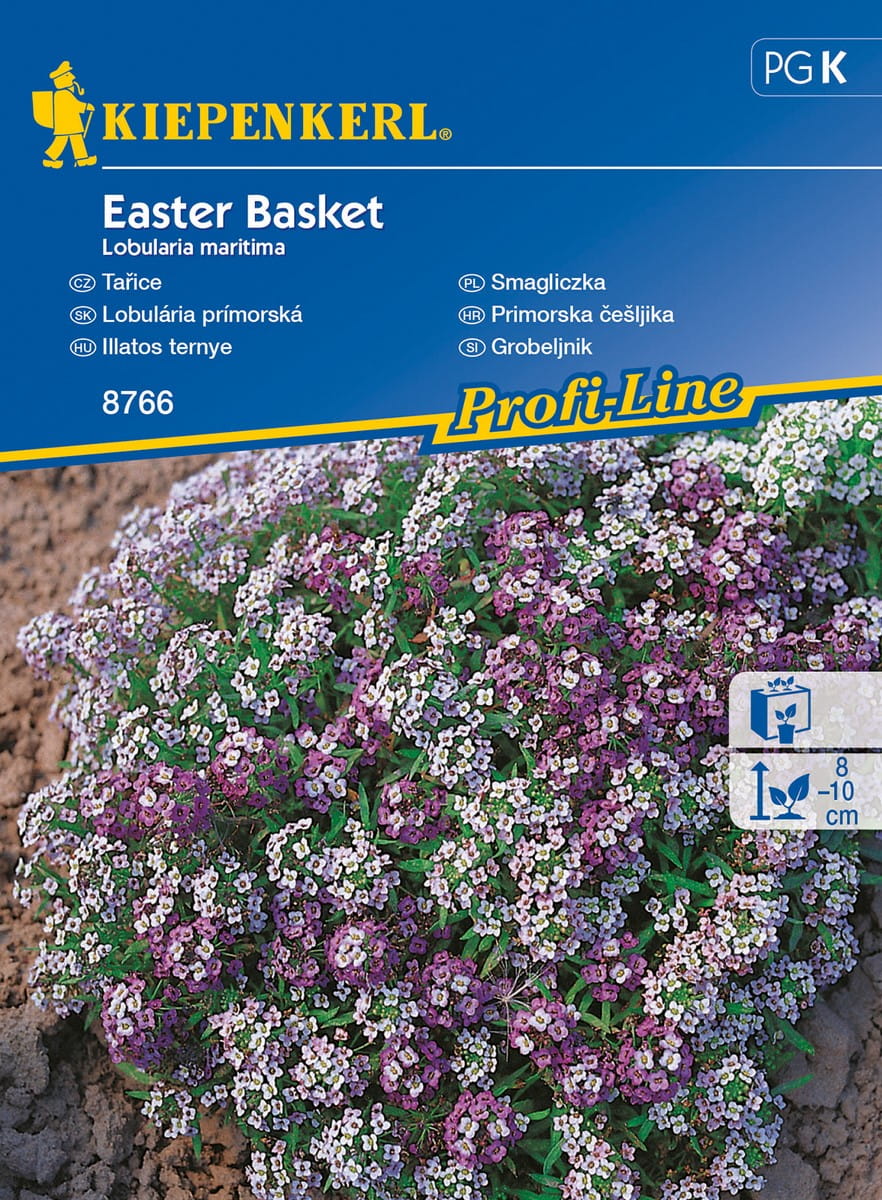 Smagliczka 'Easter Basket' Nasiona Kiepenkerl