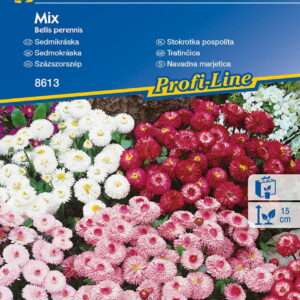 Stokrotka Pospolita  Mix Nasion  Kiepenkerl