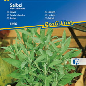 Sza³wia  Bardzo Aromatyczna  Kiepenkerl