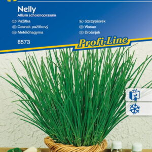 Szczypiorek 'Nelly'  Ca³oroczny  Kiepenkerl