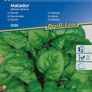 Szpinak 'Matador'  Mrozoodporny  Kiepenkerl