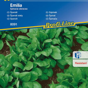 Szpinak 'Emilia' F1  Odporny  Kiepenkerl