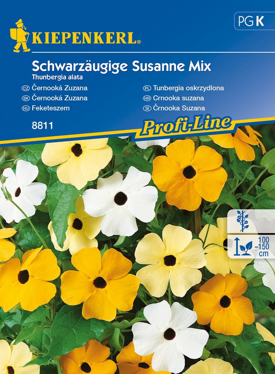 Tunbergia Oskrzydlona Mix Nasion Kiepenkerl