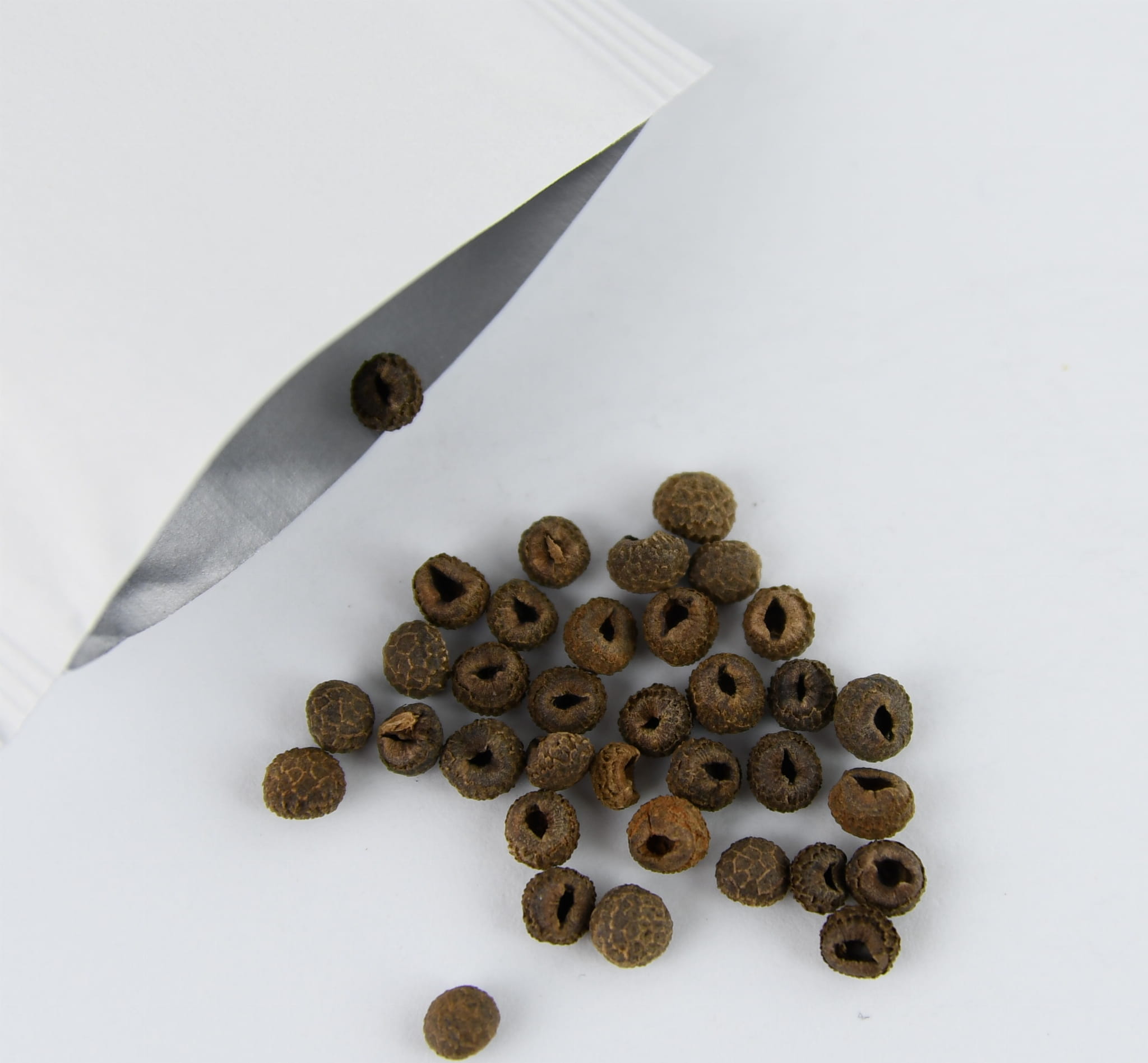 Tunbergia Oskrzydlona Mix Nasion Kiepenkerl - obrazek 2