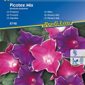 Wilec 'Picotee' Mix Kiepenkerl