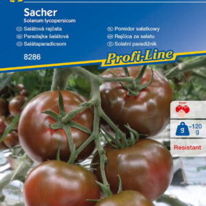Pomidor Sa³atkowy 'Sacher' F1  Ciemny  Kiepenkerl