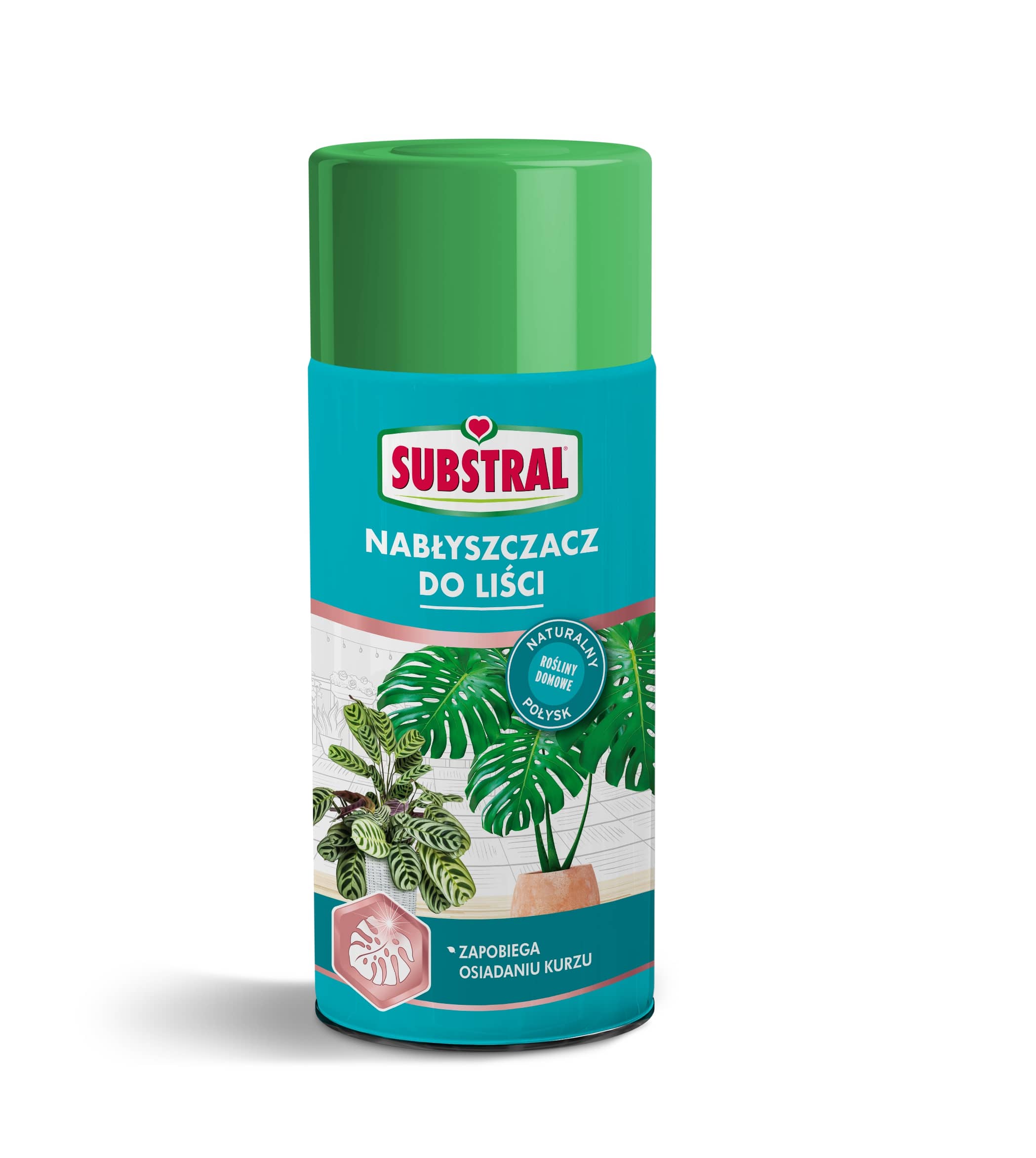 Nab³yszczacz Do Lici Aerozol 200 ml Substral