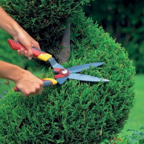 No¿yce Do Formowania Rolin, Bukszpanu Wolf Garten - obrazek 3