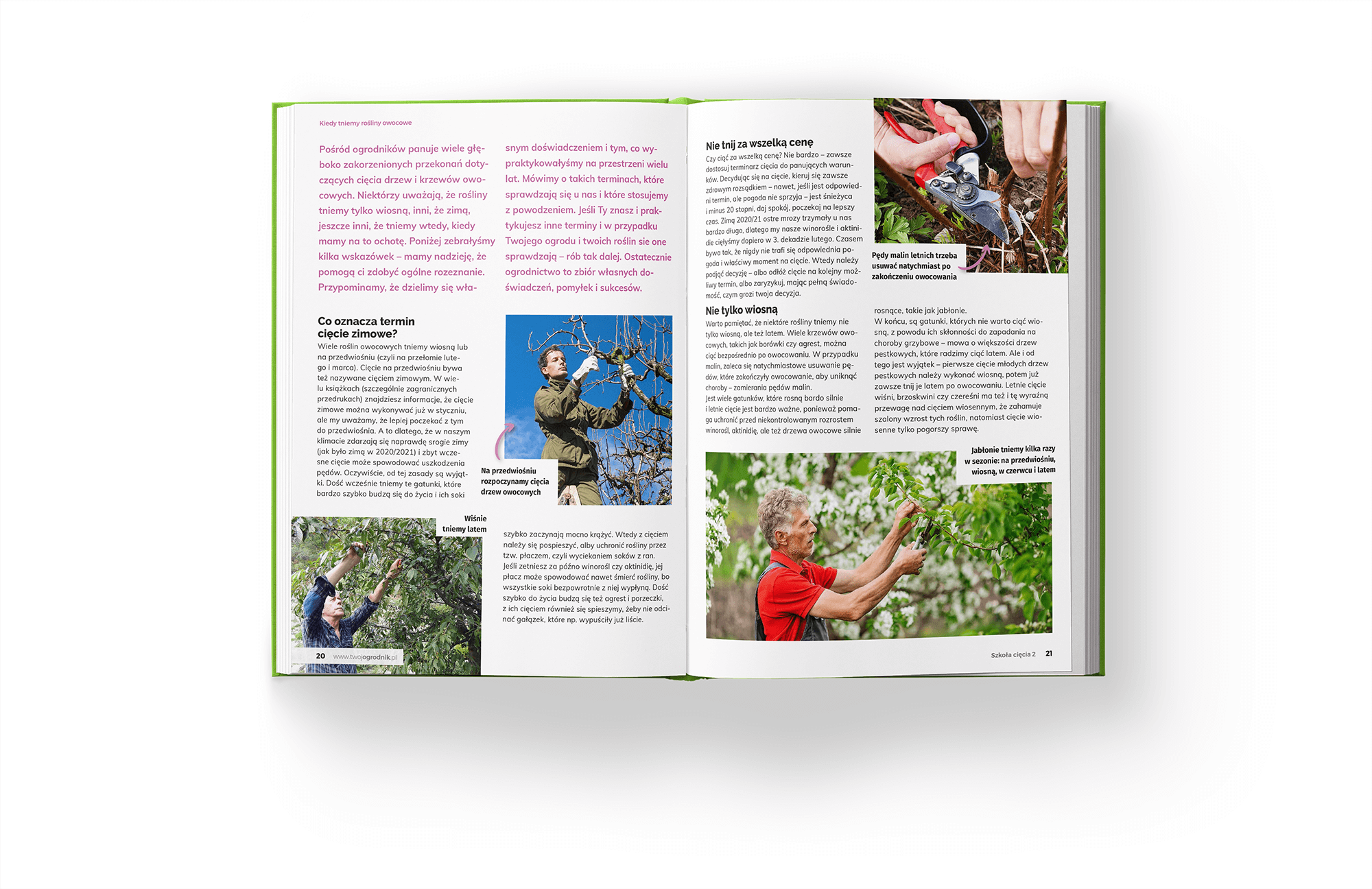 Ksi¹¿ka Szko³a Ciêcia 2 o ciêciu drzew i krzewów owocowych - obrazek 2