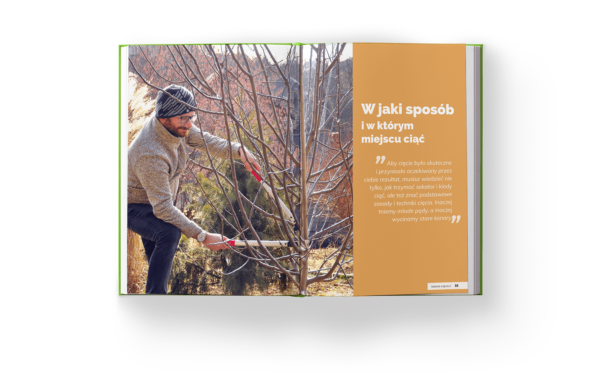 Ksi¹¿ka Szko³a Ciêcia 2 o ciêciu drzew i krzewów owocowych - obrazek 3