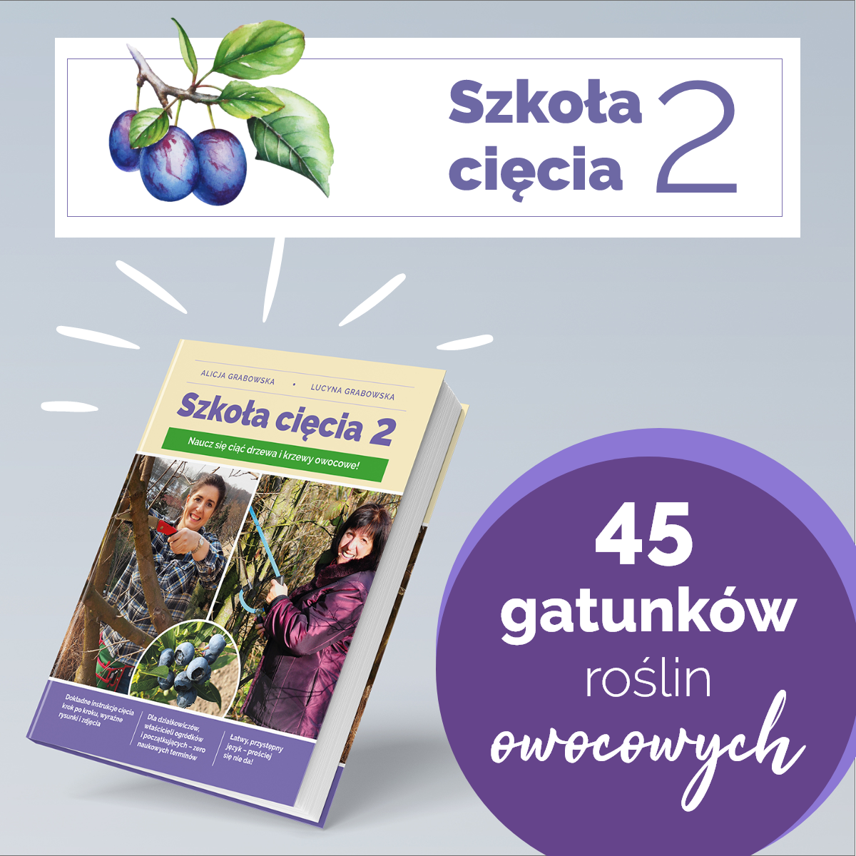 Ksi¹¿ka Szko³a Ciêcia 2 o ciêciu drzew i krzewów owocowych - obrazek 7
