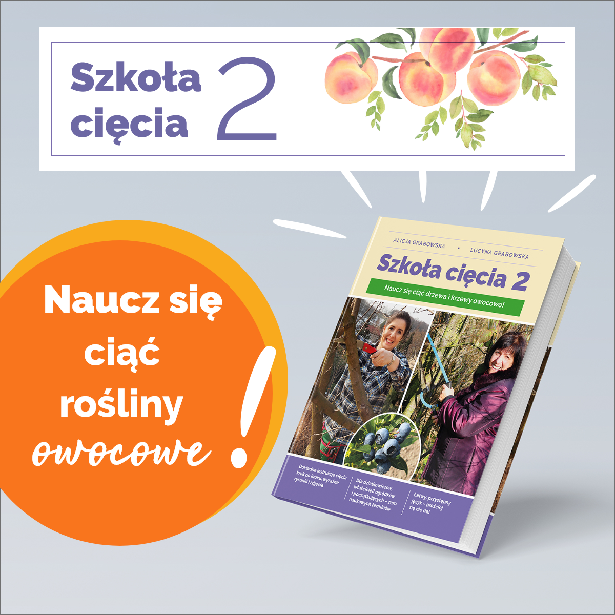 Ksi¹¿ka Szko³a Ciêcia 2 o ciêciu drzew i krzewów owocowych - obrazek 8