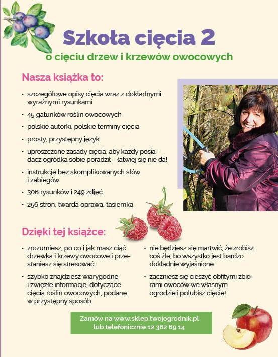 Ksi¹¿ka Szko³a Ciêcia 2 o ciêciu drzew i krzewów owocowych - obrazek 9