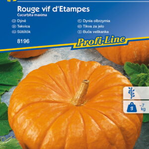 Dynia olbrzymia 'Rouge vif d'Etampes'