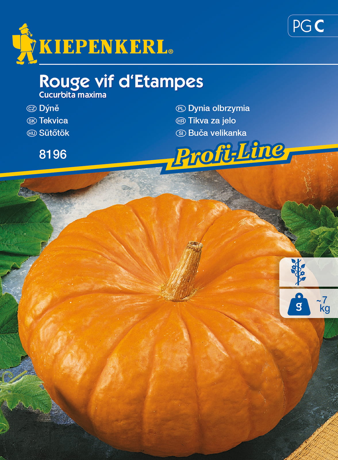 Dynia olbrzymia 'Rouge vif d'Etampes'