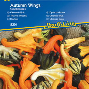 Dynia ozdobna Autumn Wings Kiepenkerl