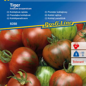 Pomidor koktajlowy Tiger Kiepenkerl