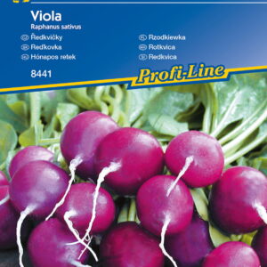 Rzodkiewka Viola Kiepenkerl
