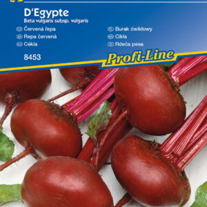 Burak æwik³owy D'Egypte Kiepenkerl