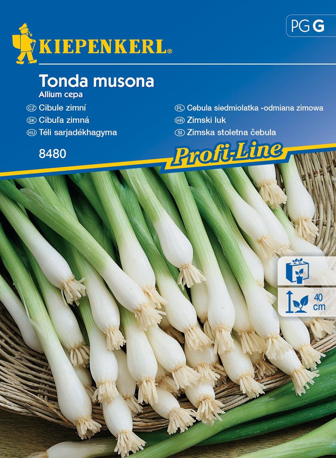 Cebula siedmiolatka , odmiana zimowa Tonda Musona Kiepenkerl