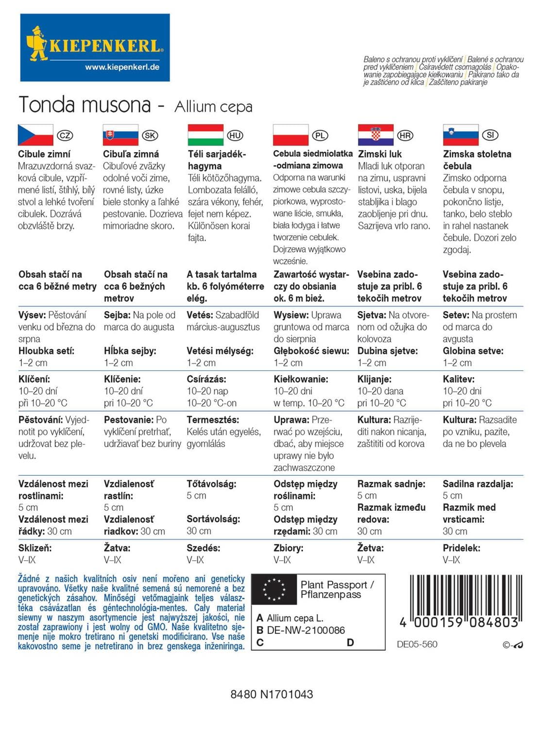 Cebula siedmiolatka , odmiana zimowa Tonda Musona Kiepenkerl - obrazek 2