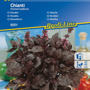 Bazylia Chianti Kiepenkerl