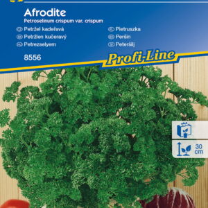 Pietruszka 'Afrodite'