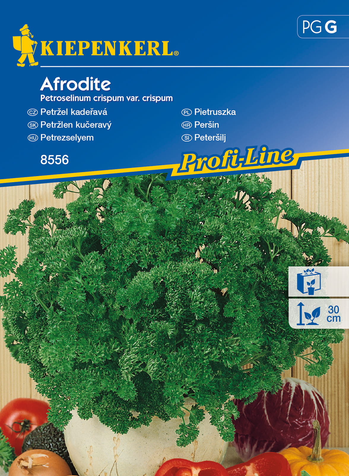 Pietruszka 'Afrodite'