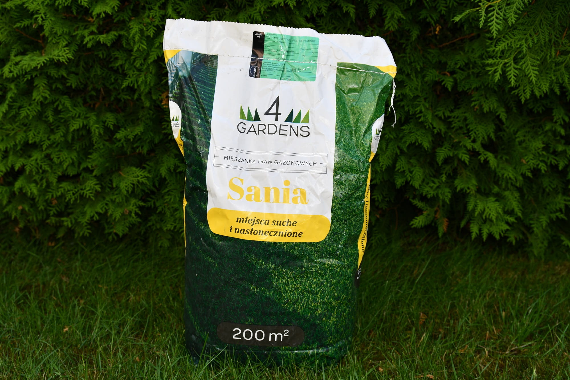 Mieszanka Traw Gazonowych Na Miejsca Suche i S³oneczne Sania 5 kg 4Gardens - obrazek 3