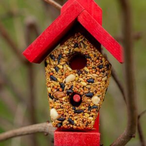 Karmnik Bar Bistro - pokarm dla ptaków BF-4 GAMI