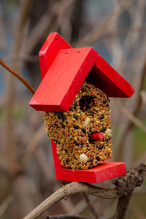 Karmnik Bar Bistro - pokarm dla ptaków BF-4 GAMI - obrazek 2
