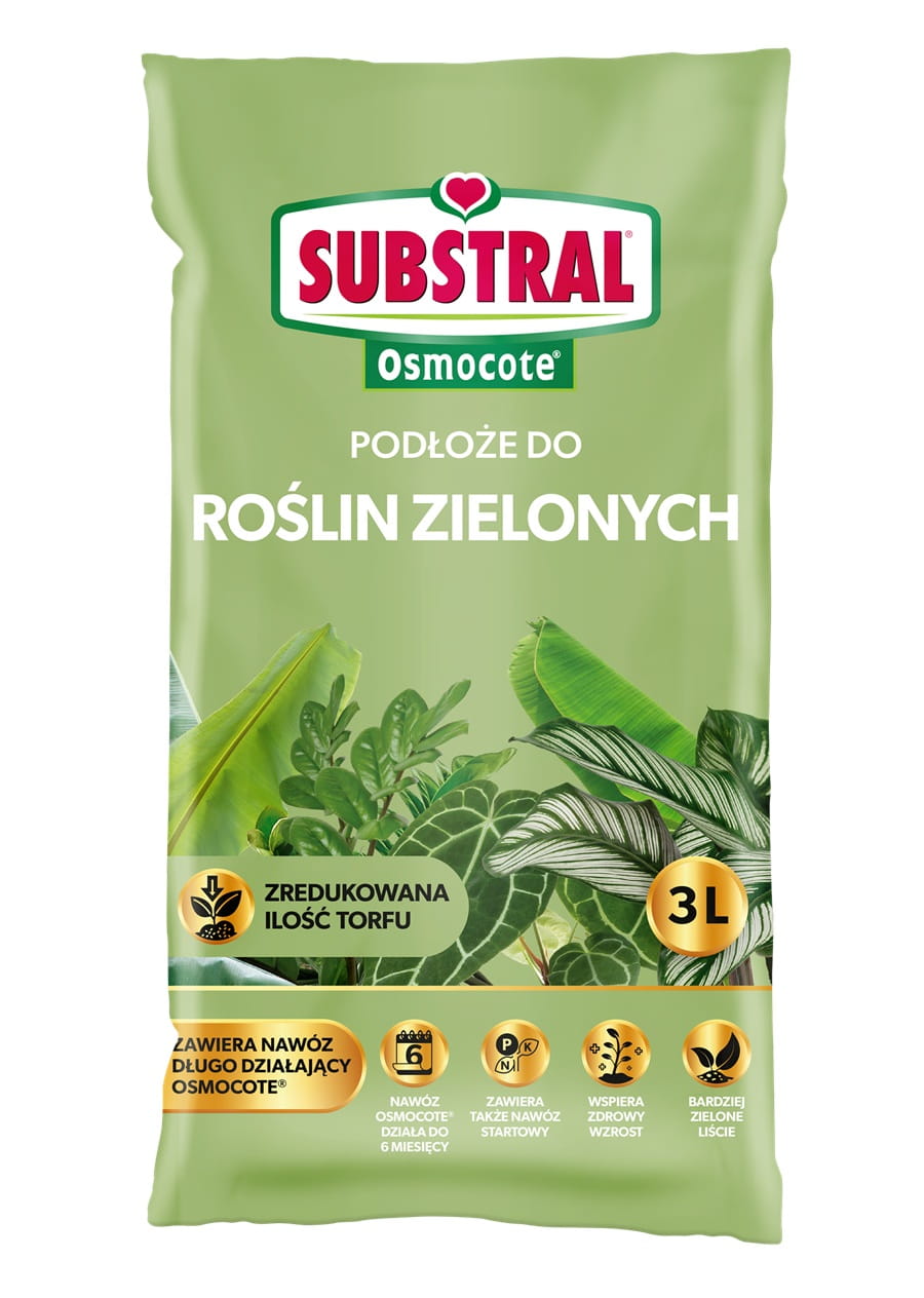 Pod³o¿e Do Doniczkowych Rolin Zielonych 3 l Substral