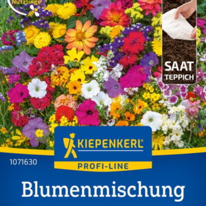 £¹ka Kwietna  Mieszanka Nasion Na Tamie  S³oneczna Mieszanka