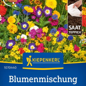 £¹ka Kwietna  Mieszanka Nasion Na Tamie  Dywan Kwiatowy