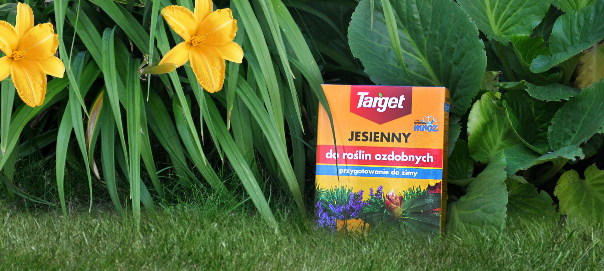 Nawóz Do Rolin Ozdobnych Jesienny 1 kg Target - obrazek 3