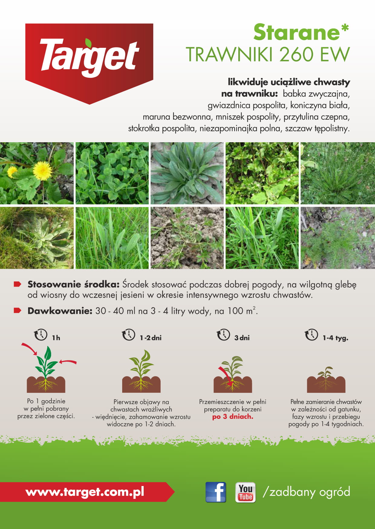 Starane Trawniki Zwalcza Chwasty Na Trawniku 20 ml Target - obrazek 3