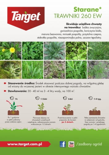Starane Trawniki Zwalcza Chwasty Na Trawniku 100 ml Target - obrazek 2